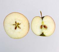 Gennemskårne Bellida æbler